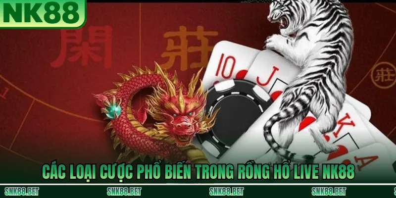 Các loại cược Rồng Hổ Live NK88: cược Rồng/Hổ, cược Hòa thưởng cao và tùy chọn cược theo màu đỏ/đen