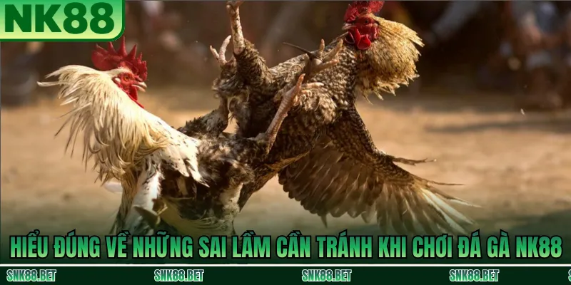 Nhận diện các sai lầm phổ biến khi chơi đá gà NK88