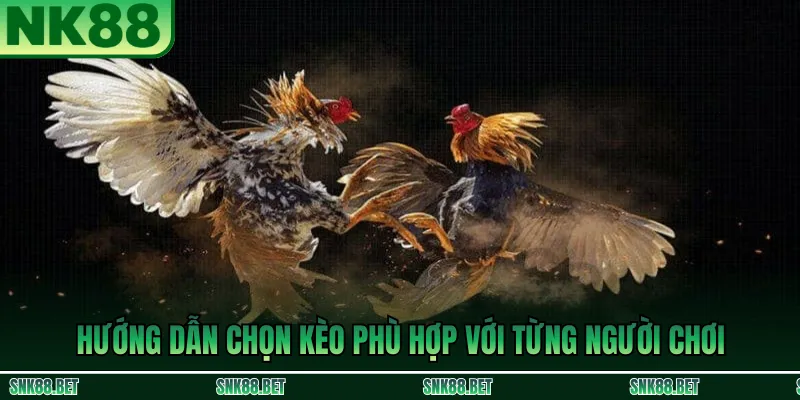 Hướng dẫn chọn kèo đá gà NK88 phù hợp với từng cấp độ người chơi