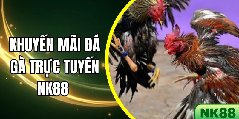 Khuyến mãi đá gà trực tuyến NK88