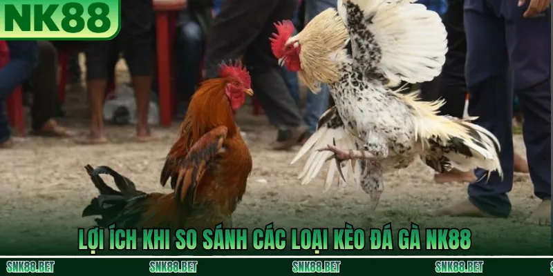 So sánh ưu nhược điểm các loại kèo đá gà tại NK88