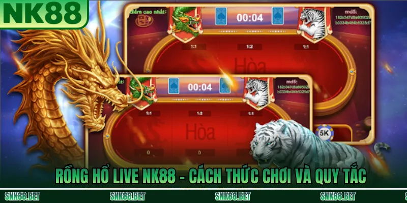 Rồng Hổ Live NK88: cách chơi đặt cửa Rồng/Hổ/Hòa, dealer chia bài trực tiếp và kết quả hiển thị công khai