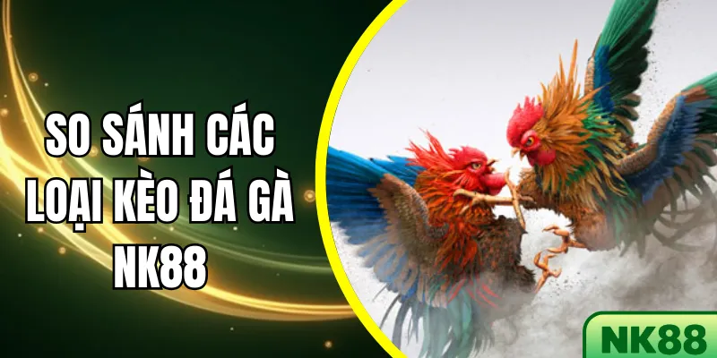 So sánh các loại kèo đá gà NK88: 5 chiến thuật thắng cao