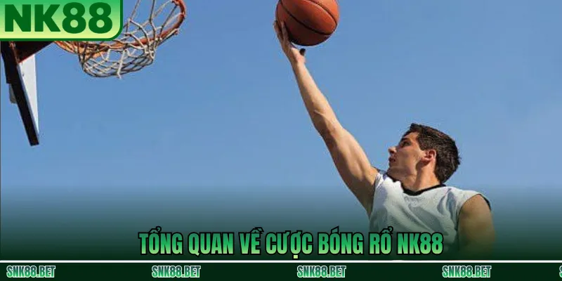 Tổng quan kèo cược bóng rổ tại NK88: loại kèo phổ biến và cách hiển thị tỷ lệ