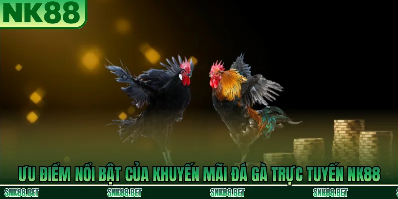 Ưu điểm khi tham gia khuyến mãi đá gà trực tuyến NK88