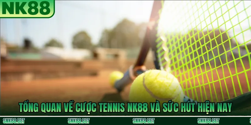 Tổng quan về Cược Tennis NK88 và sức hút hiện nay