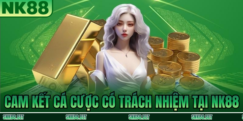 Giới Thiệu NK88 - Nhà Cái Uy Tín Hàng Đầu Châu Á 2026 5 Cam Kết Cá Cược Có Trách Nhiệm Tại NK88